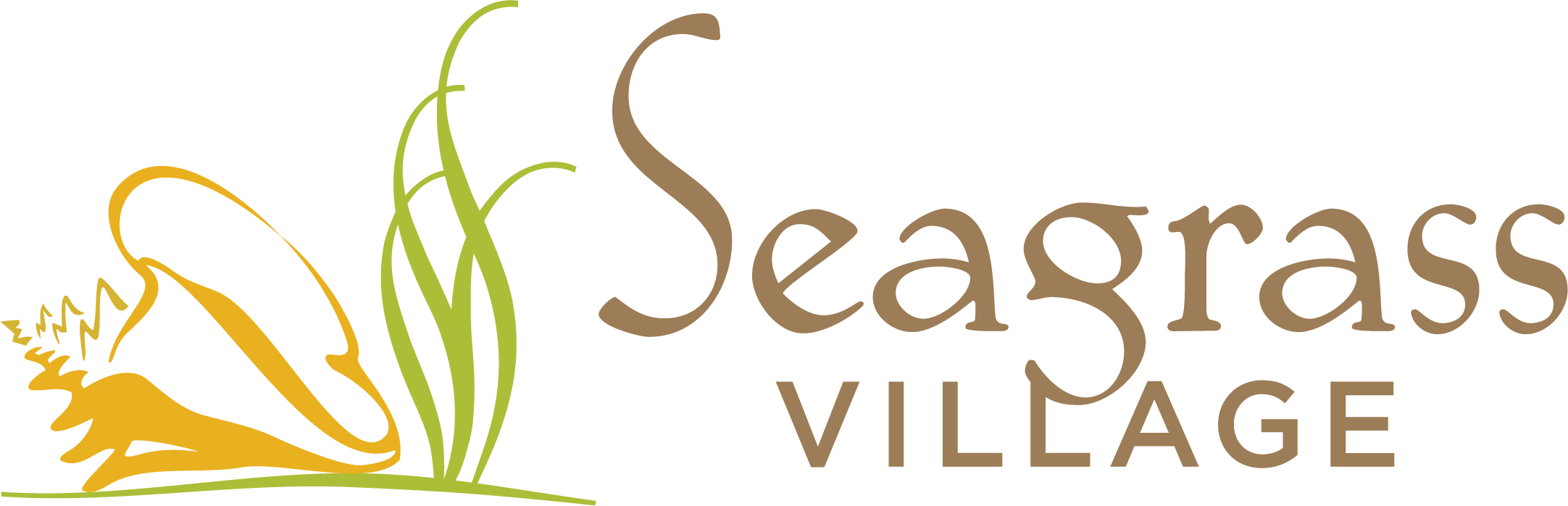 Seagrass Village of Fleming Island Home